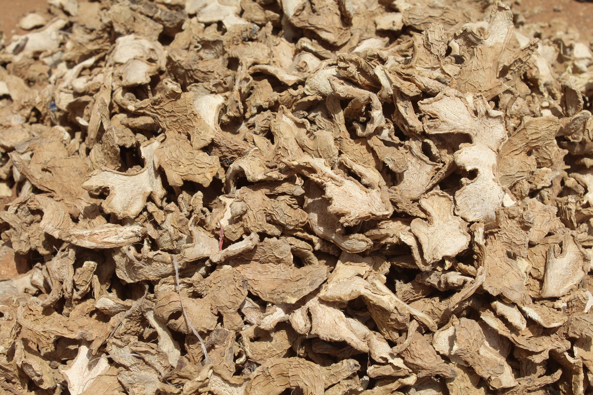 Dried ginger pieces