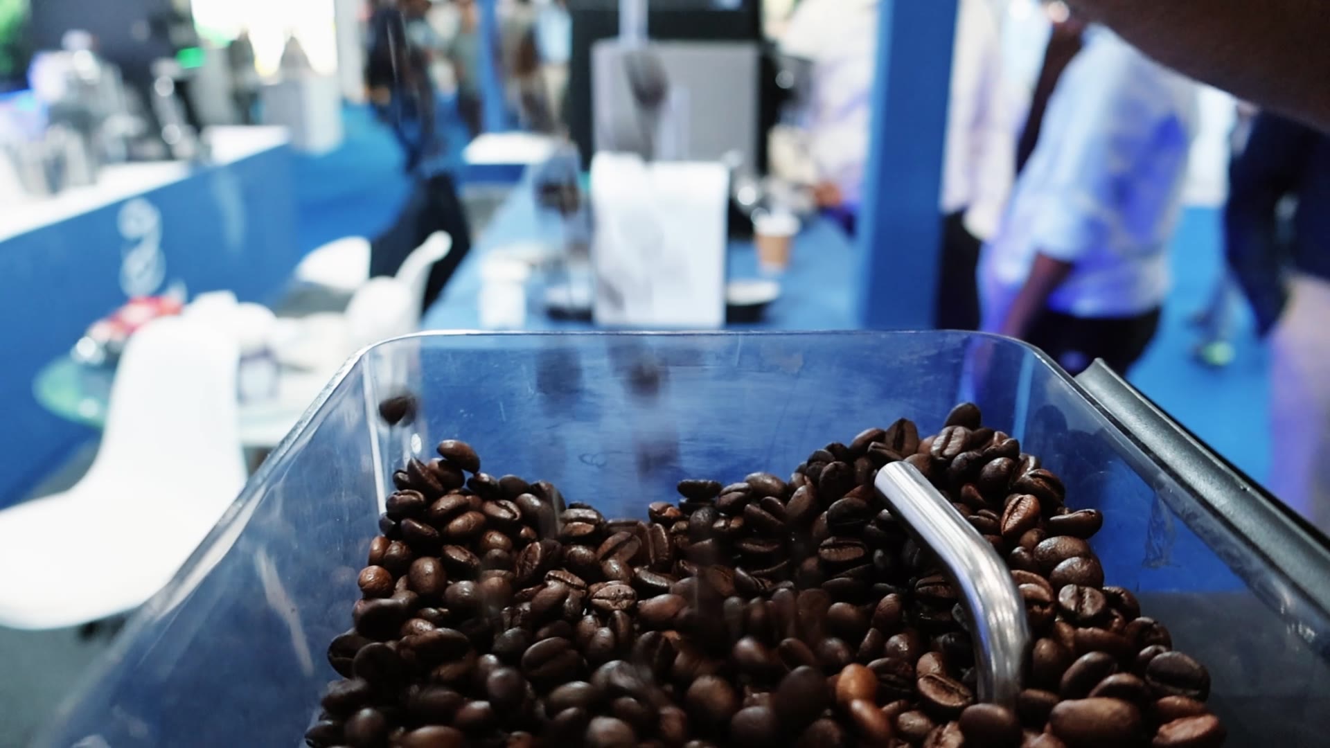 Coffee beans in the AT31B bean hopper